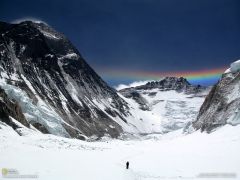Tapeta National Geographic 629.jpg